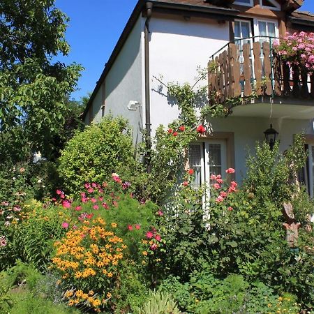 Hotel Zur Krone Auggen Extérieur photo